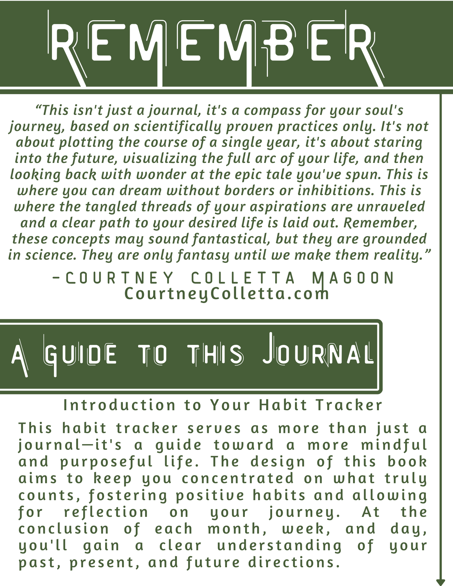 Green & Gold- A Visionary Life Daily Awareness Practices an Elevated Habit Tracking Journal